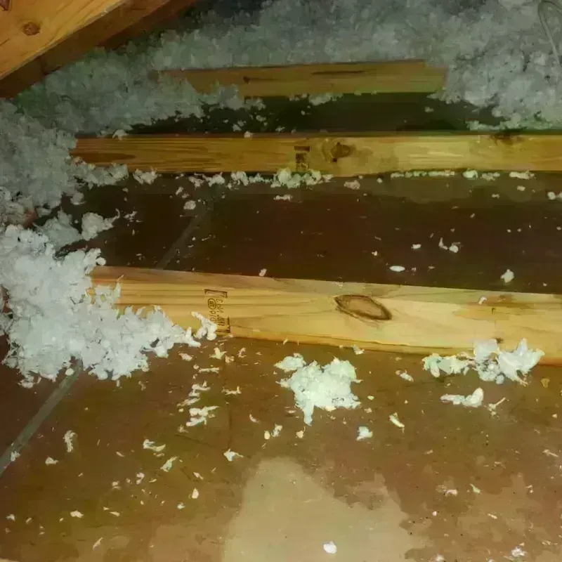 Attic Water Damage in Morenci, AZ